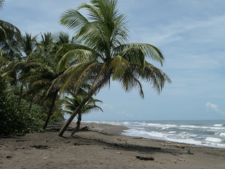 Costa Rica in drie weken