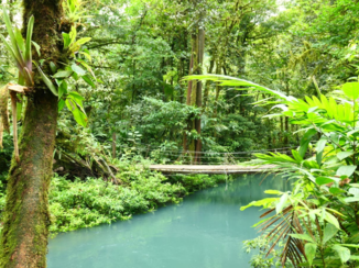 Costa Rica in drie weken