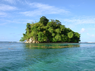 Jamaica - Monkey Island