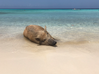 Curaçao - Porto Marie, Curacao