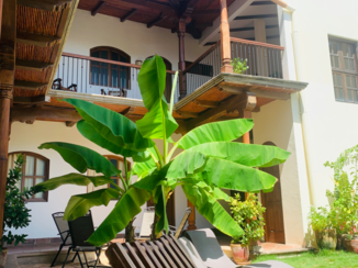 Nicaragua - El malinche granada