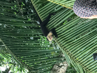 Costa Rica in drie weken