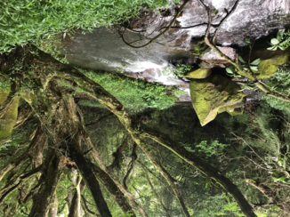 Costa Rica in drie weken