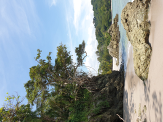 Costa Rica - Manuel Antonio