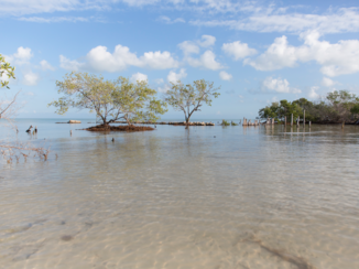 Mexico - Wandel richting Punta Mosquito