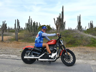 Bonaire - Harley Davidson Sportster 884