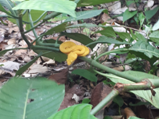 Rondreis Costa Rica en Panama