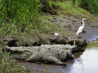 Rondreis hoogtepunten Costa Rica