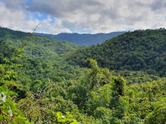 Topes de Collantes - Uitzicht
