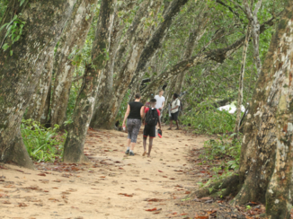 Costa Rica in drie weken