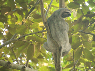 Costa Rica in drie weken