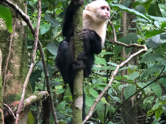 Costa Rica - Manuel Antonio National Parque
