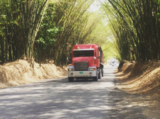 Jamaica - Bamboo avenue
