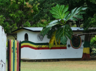 Jamaica - Graftombe Peter Tosh