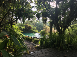 Sarapiqui - Infinity pool