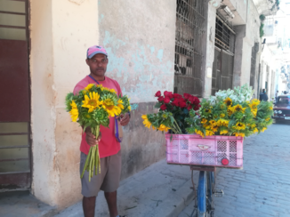 Havana - Bloemen verkoper op straat
