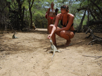 Bonaire - National park