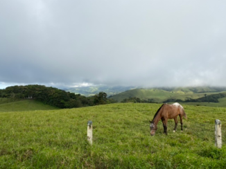 Rondreis hoogtepunten Costa Rica - Op weg naar Monteverde