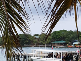 Roatán - Coconut Tree Divers