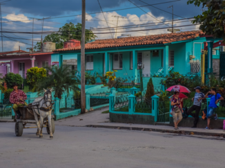 Cuba - Viñales