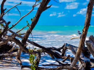 Cuba - Cayo Jutias