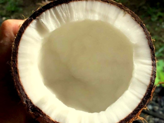 Costa Rica - kokosdroom